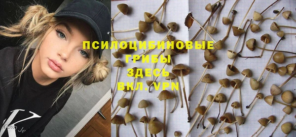гидропоника Володарск